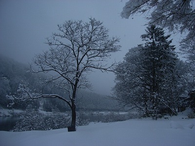 s-３月３日の雪景色 030.jpg